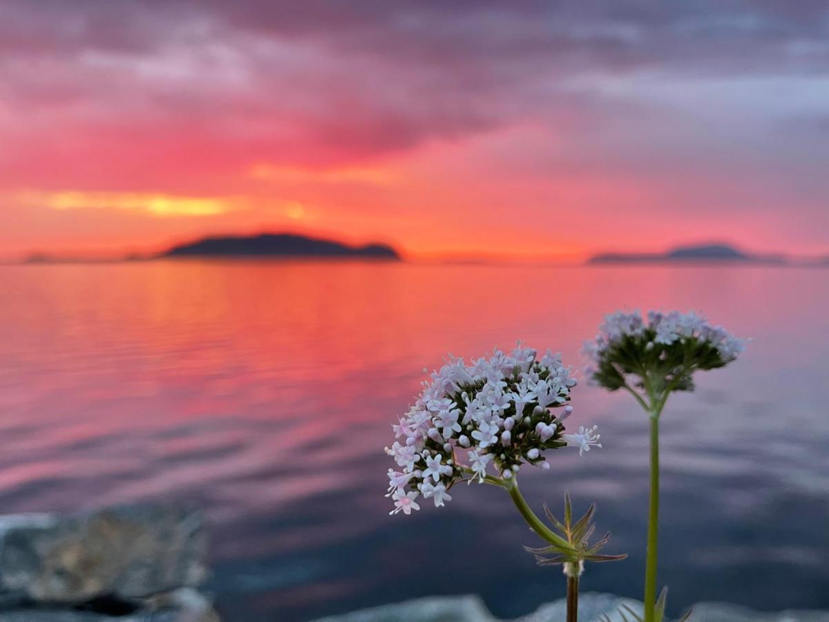 Charming Camper In Alesund Center 호텔 외부 사진